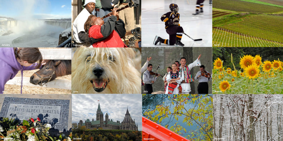 year in pictures