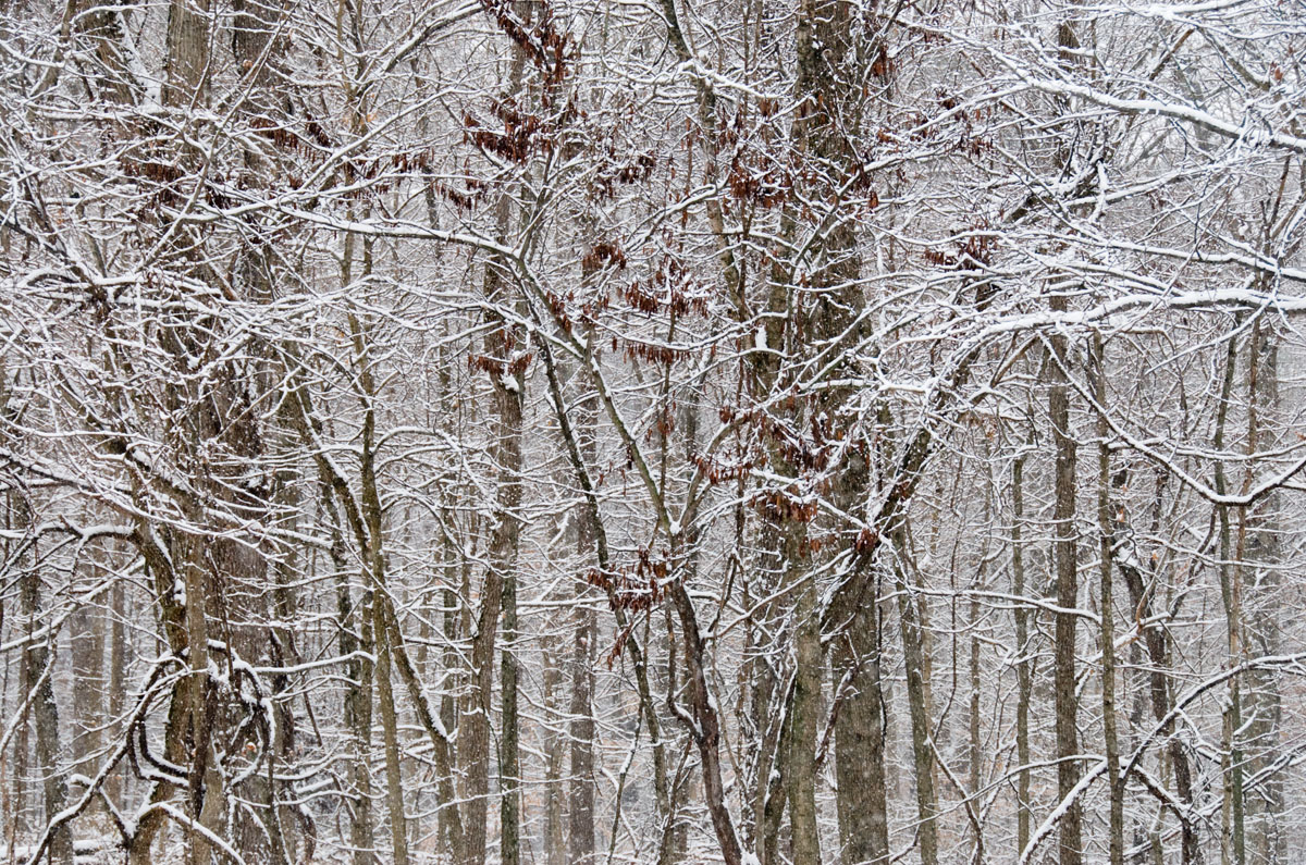 winter tapestry first snow