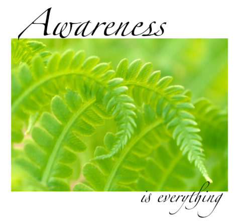 Awareness