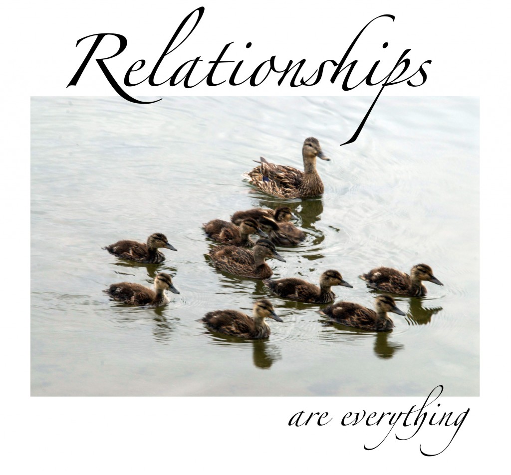 relationships are everything, duck family