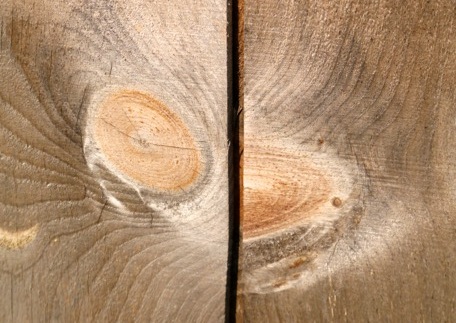 wood grain essence