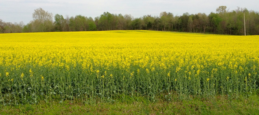 Contemplative Photography in Kentucky