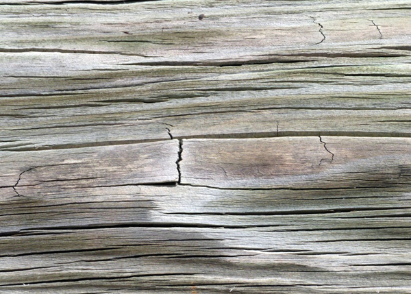 Naples Pier Wood