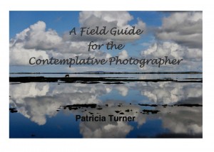 FieldGuide for the Contemplative Photographer by Patricia Turner