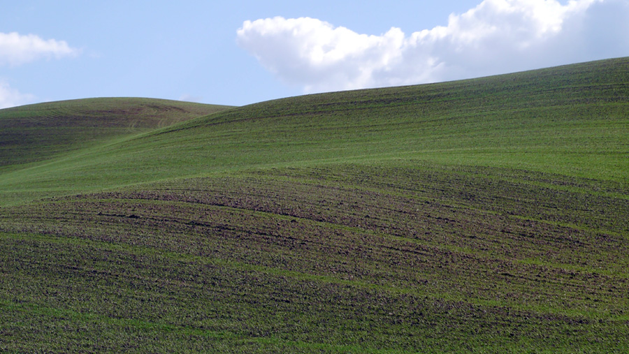 Palouse