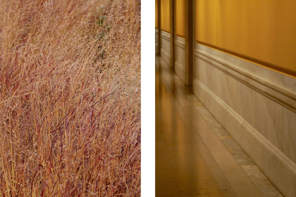 Grasses & New York Public Library Hallway