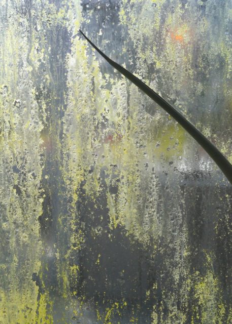 abstract green