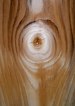 Wood Knot