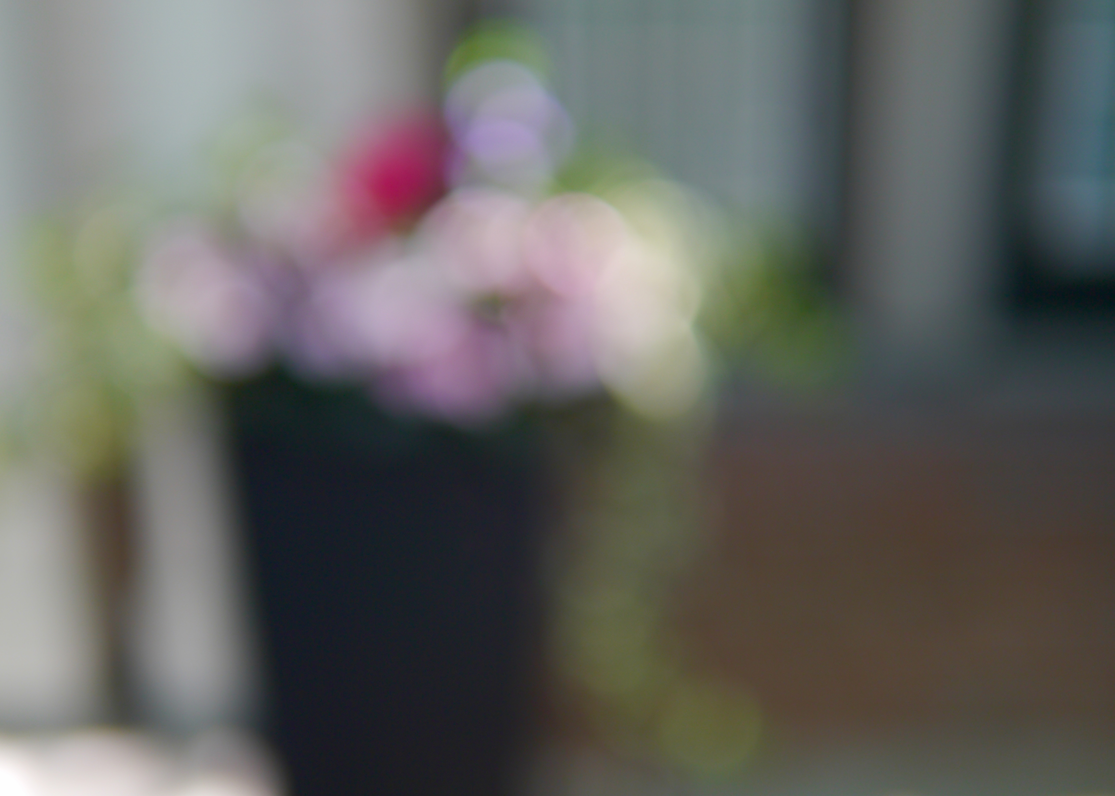 planter, blur