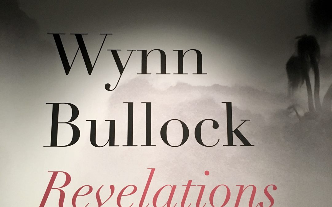 Learning from Photographer Wynn Bullock